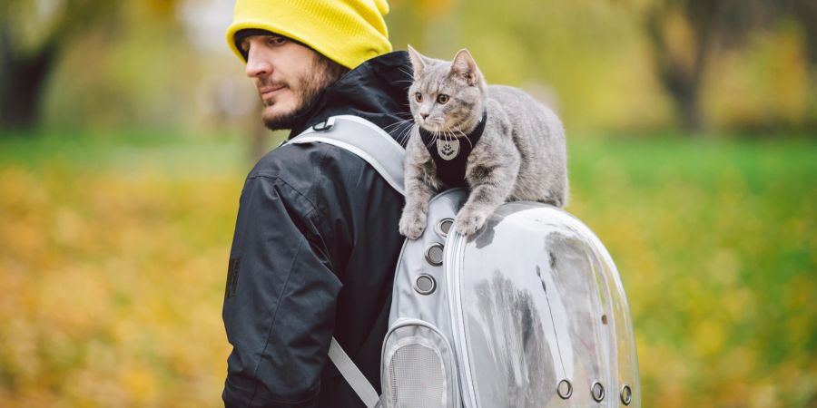 Mann mit Rucksack und Katze