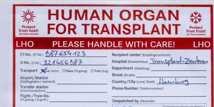 Ein Aufkleber mit der Aufschrift "Human Organ For Transplant" klebt auf einer Transportkühlbox für Spenderorgane. Foto: Markus Scholz Ein Aufkleber mit der Aufschrift "Human Organ For Transplant" klebt auf einer Transportkühlbox für Spenderorgane. Foto: Markus Scholz
