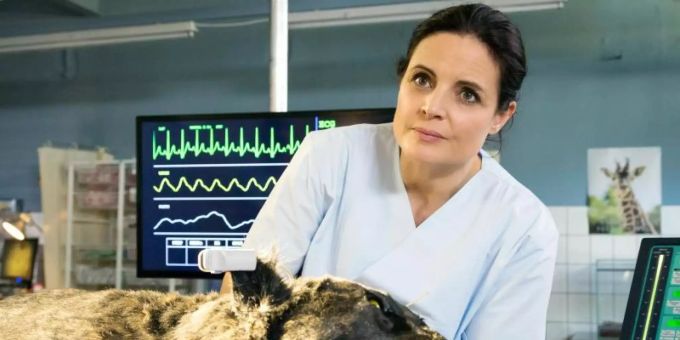 Kann Tierärztin Susanne Mertens (Elisabeth Lanz) den schwarzen Panther retten kann?. Foto: ARD/Steffen Junghans/dpa Kann Tierärztin Susanne Mertens (Elisabeth Lanz) den schwarzen Panther retten kann?. Foto: ARD/Steffen Junghans/dpa