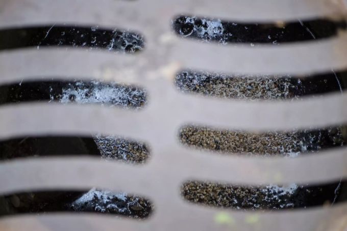 Im Gullie herrschen optimale Bedingungen für Stechmücken. Mückenplage Klimawandel Stechmücke