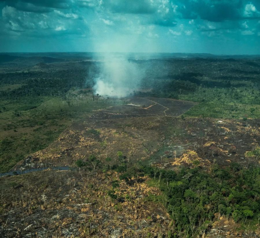 Amazonas