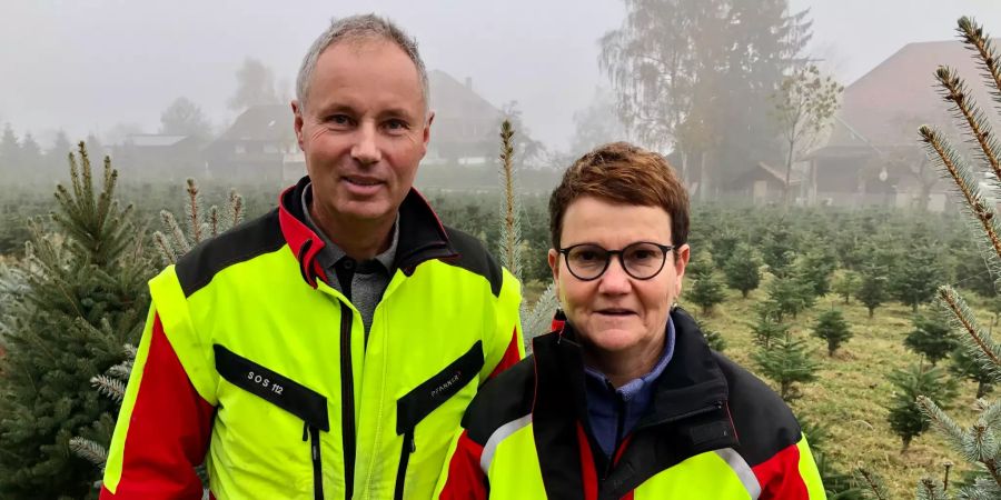 Häberli Muri Gümligen Allmendingen