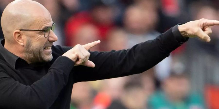 Trainer Peter Bosz verspricht: «Bayer Leverkusen ist immer eine Garantie für Tore.». Foto: Federico Gambarini/dpa