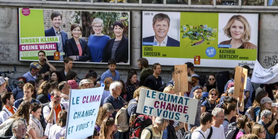 Wahlen 2019 Klimastreik