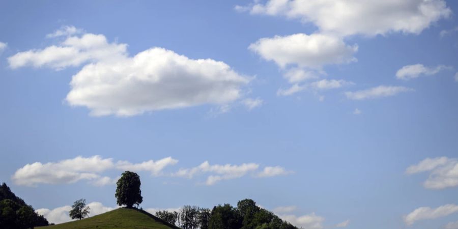 Sommer Hitze Schweiz Wetter