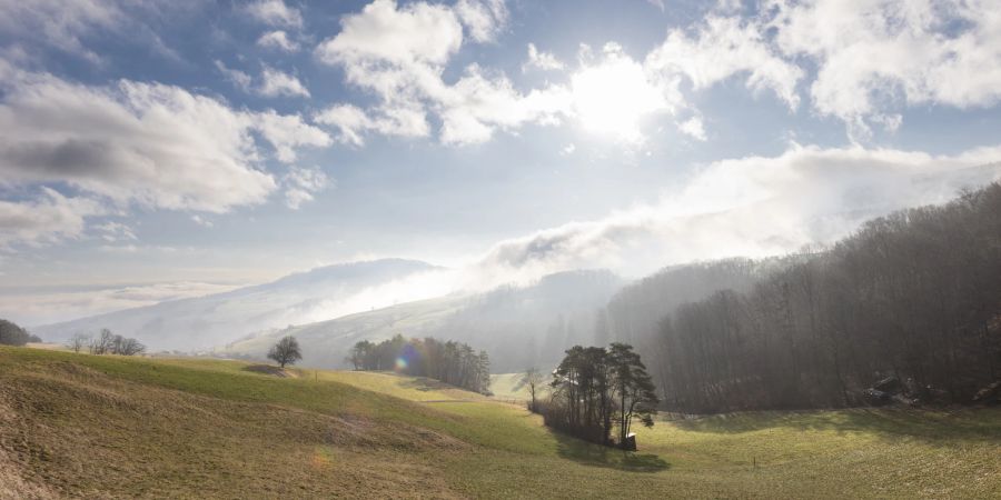 Morgenstimmung im Schenkenbergertal zwischen der Staffelegg und der Gemeinde Thalheim.