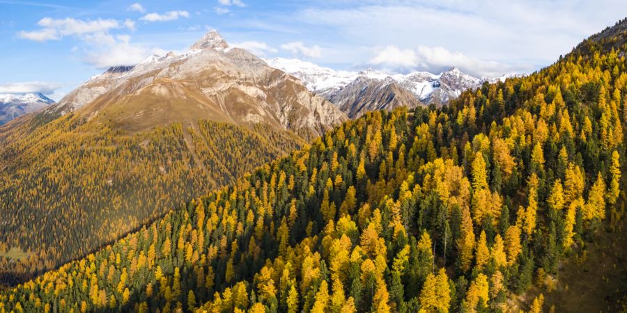 Indian Summer im Val Trupchun.