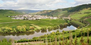 Mosel Weinberge Landschaft Stadt