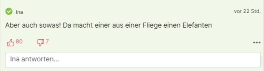 «Ina» findet, da mache jemand aus einer Fliege einen Elefanten.