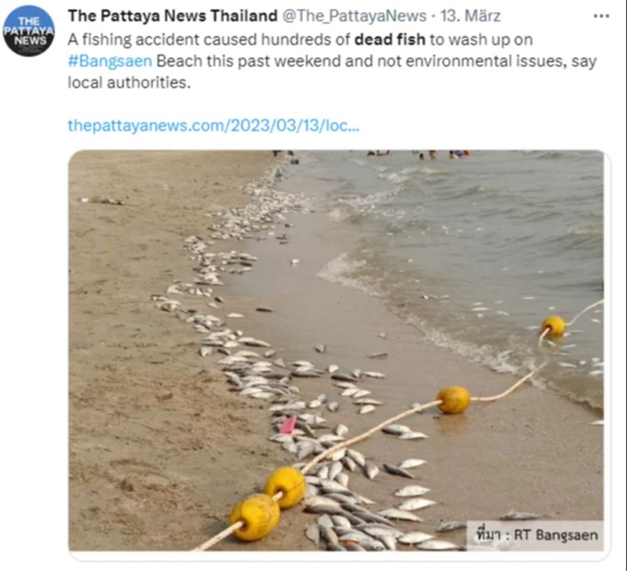 Thailand tote Fische