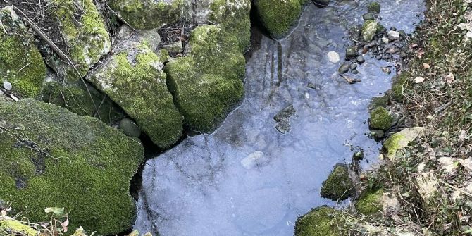 Höllbach in Ried bei Kerzers verschmutzt.