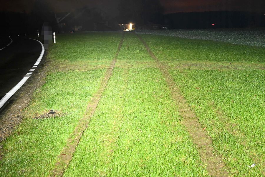 Der Lenker liess nach dem Unfall das Auto zurück und flüchtete.