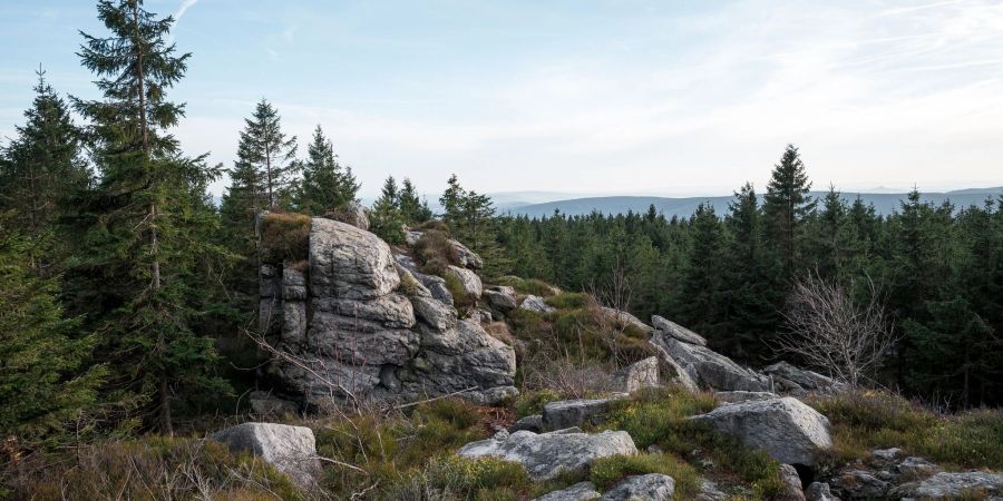 Schneemangel durchkreuzt im Fichtelgebirge derzeit das Pistenvergnügen. Dafür startet am 18. Januar der 5. deutsche Winterwandertag.