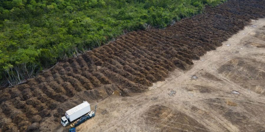 Ein Lastwagen steht in einem abgeholzten Gebiet des Amazonas. Die EU geht mit einem neuen Gesetz gegen die Abholzung der Wälder vor.