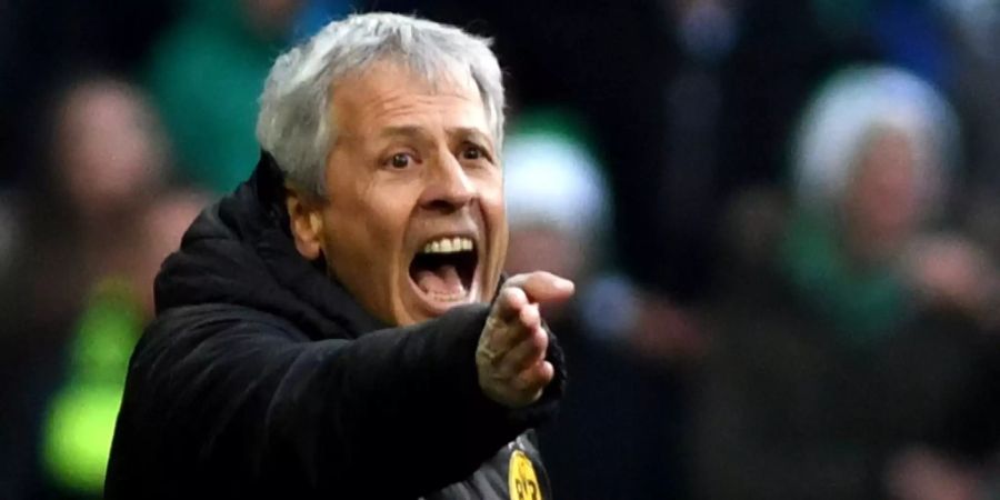 Lucien Favre BVB