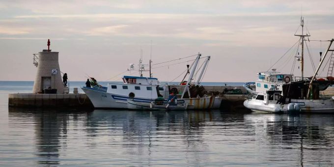 Der Hafen von Piran. Der Hafen von Piran.
