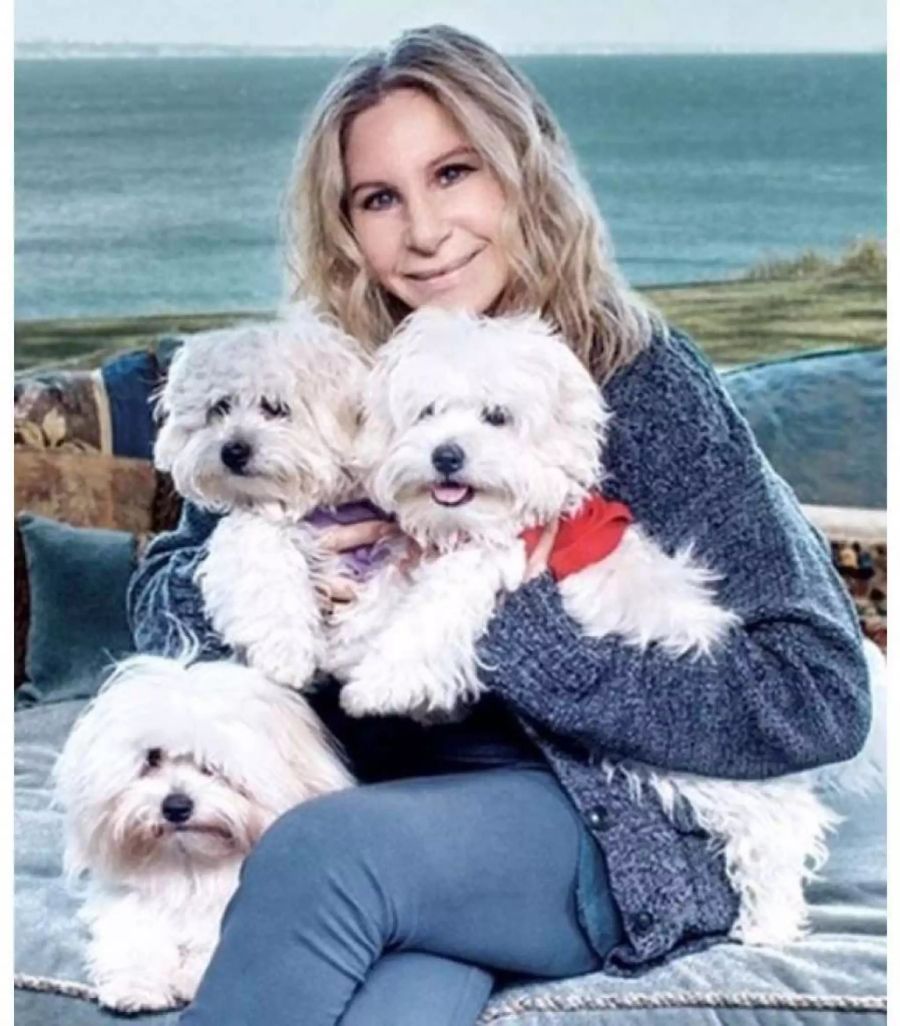 Barbra Streisand und ihre drei Hunde.