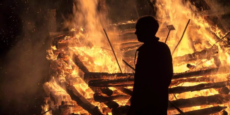 Tragischer Unfall in Österreich: Ein Jäger wollte mit Feuer mehrere Hornissen ausrotten, setzte sich dabei aber selbst in Flammen und starb (Symbolbild).
