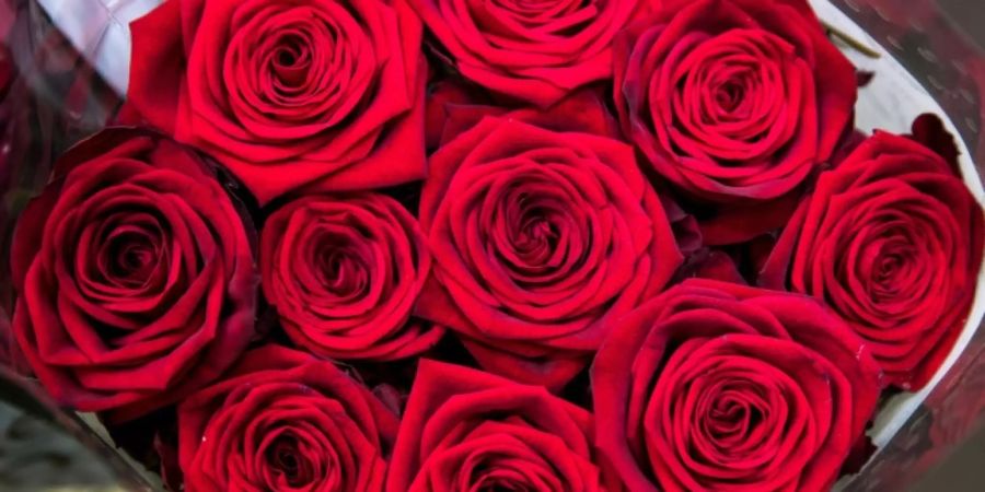 Valentinstag einen Strauss roter Rosen