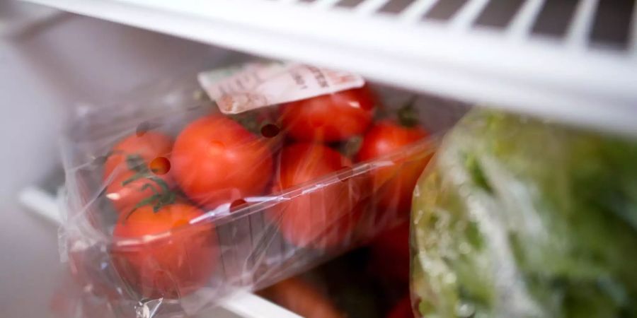 Tomaten Plastik Kühlschrank