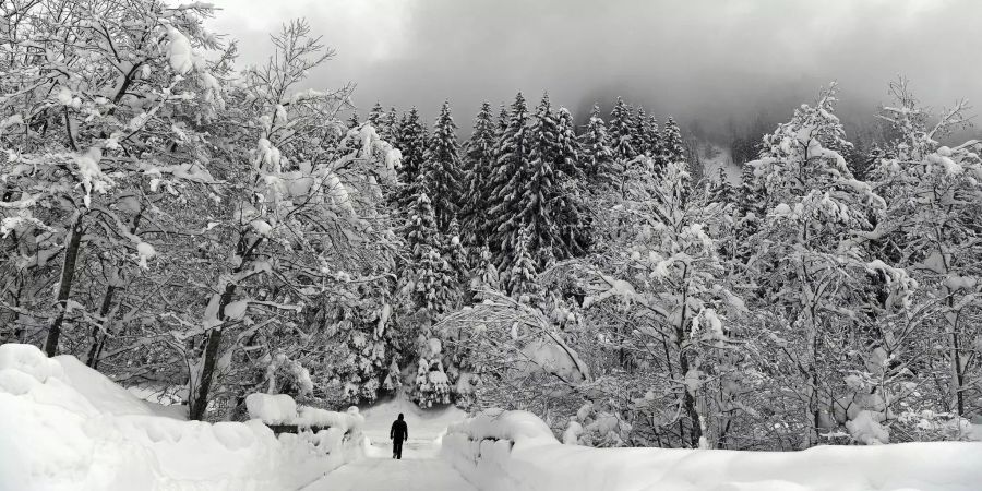 Eine verschneite Landschaft.