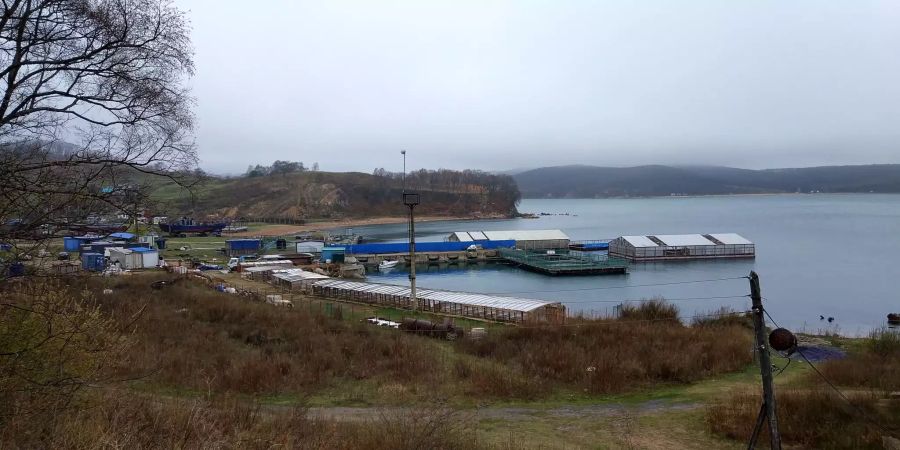 Ein Anleger und Schuppen sind am Ufer einer Bucht im Osten von Russland errichtet worden.