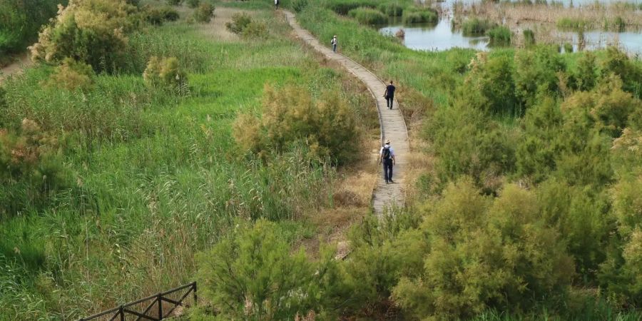 Ein Teil des Naturschutzgebietes Albufera de Valencia.