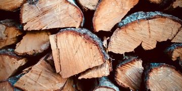 Holz