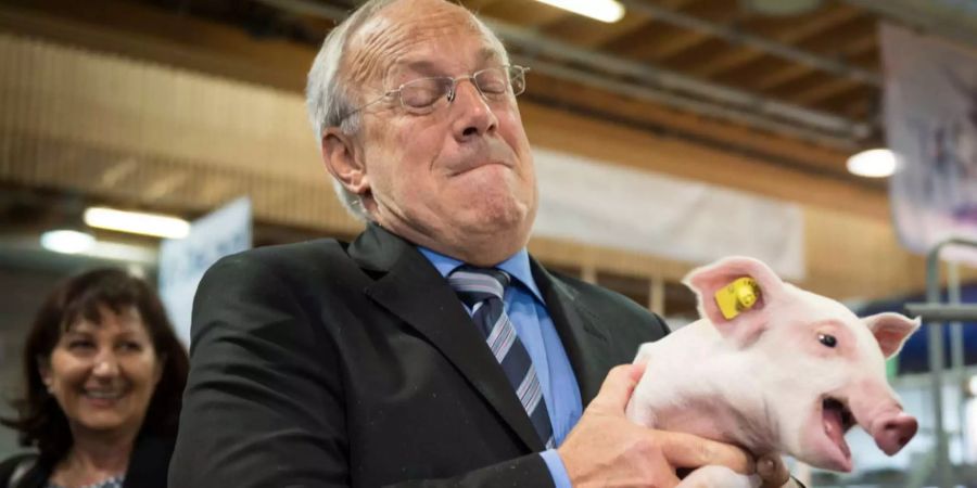 Bundesrat Johann Schneider-Ammann hält ein Säuli in die Höhe, an der offiziellen Eröffnung der OLMA Schweizer Messe für Landwirtschaft und Ernährung, am Donnerstag, 8. Oktober 2015, in St. Gallen.