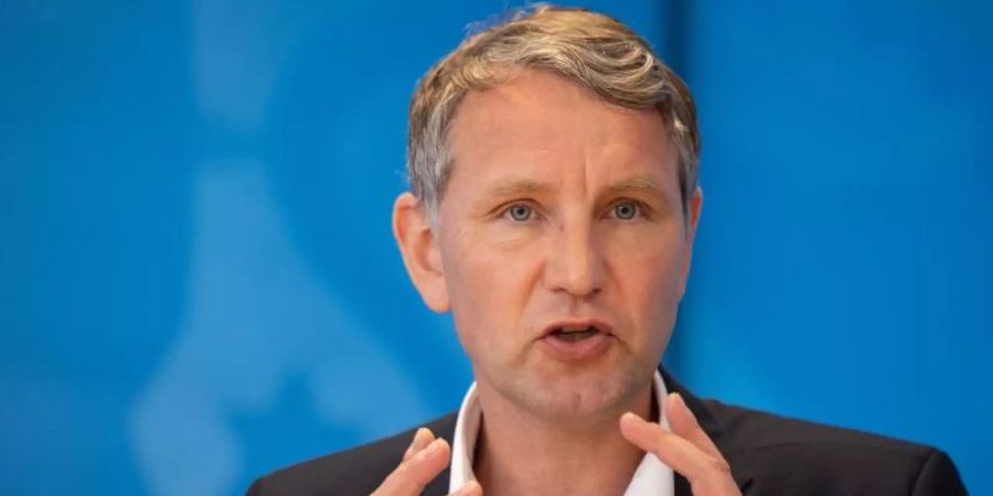 AfD Höcke