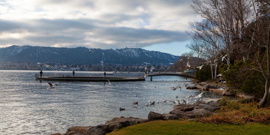 Das Strandbad Tiefenbrunnen in der Stadt Zürich.