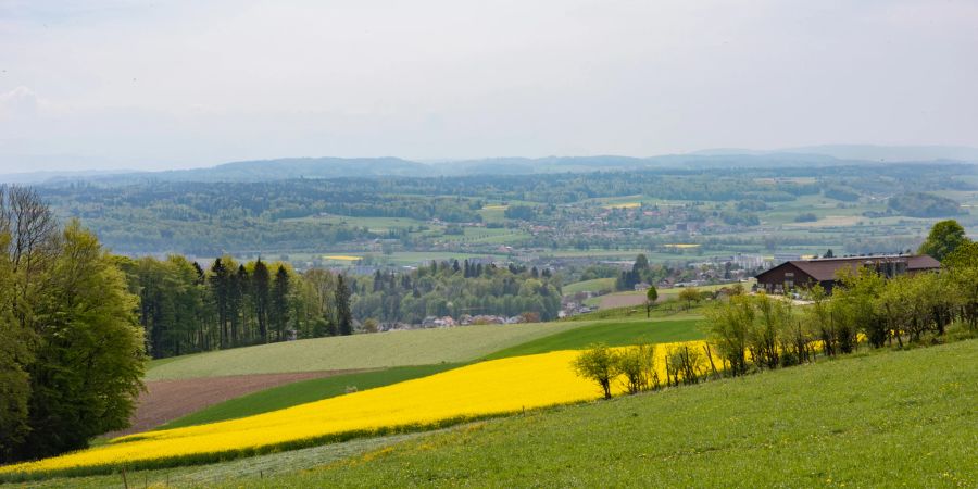 Der Ortsteil Oberrüttenen in Rüttenen mit Blick auf den Lindhof. Weiter unten im Tal ist Langendorf zu erkennen.