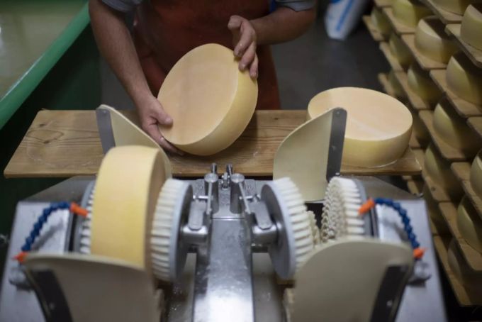 Im Gegensatz zur Milchproduktion erreichte die Käseproduktion 2019 eine neue Höchstmarke. milchproduktion