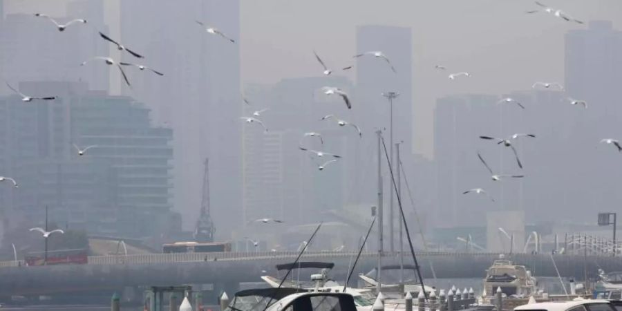 In Melbourne an der Südostküste Australiens ist die Luftqualität rekordverdächtig schlecht. Foto: Ann Johansson/ZUMA Wire/dpa