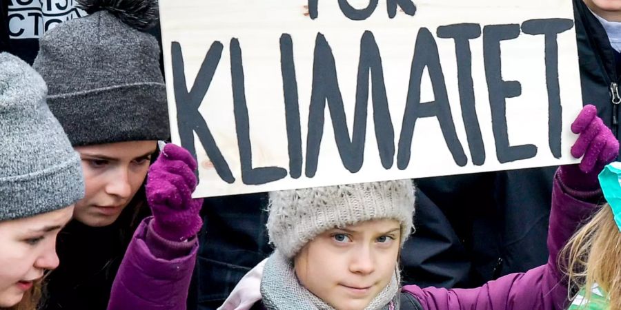 hamburg greta thunberg