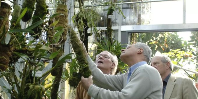 Botanischer Garten, Orchideenhaus in St. Gallen. Botanischer Garten