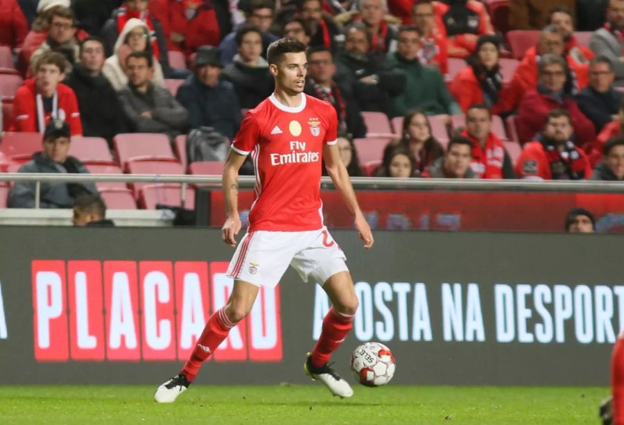 Julian Weigl bei seinem Verein Benfica Lissabon.