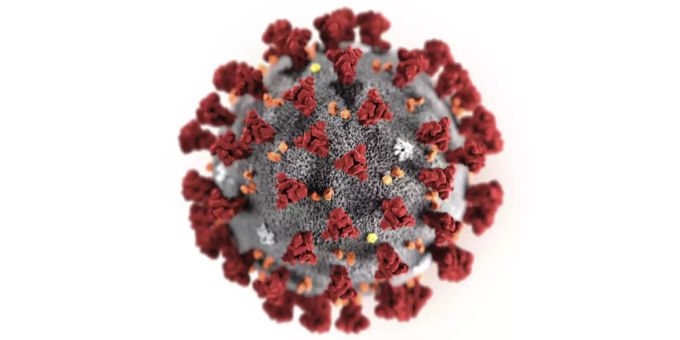 Forscher haben herausgefunden, dass eine mit dem Virus infizierte Person im Schnitt zwei weitere Personen infiziert. Coronavirus