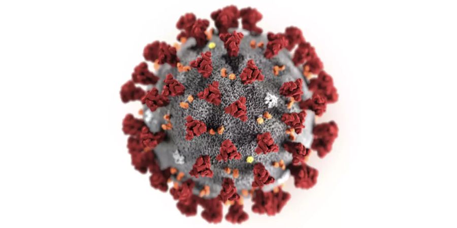 Coronavirus