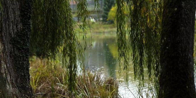Der Egelsee im Osten von Bern. Schulhaus und Kindergarten Wyssloch