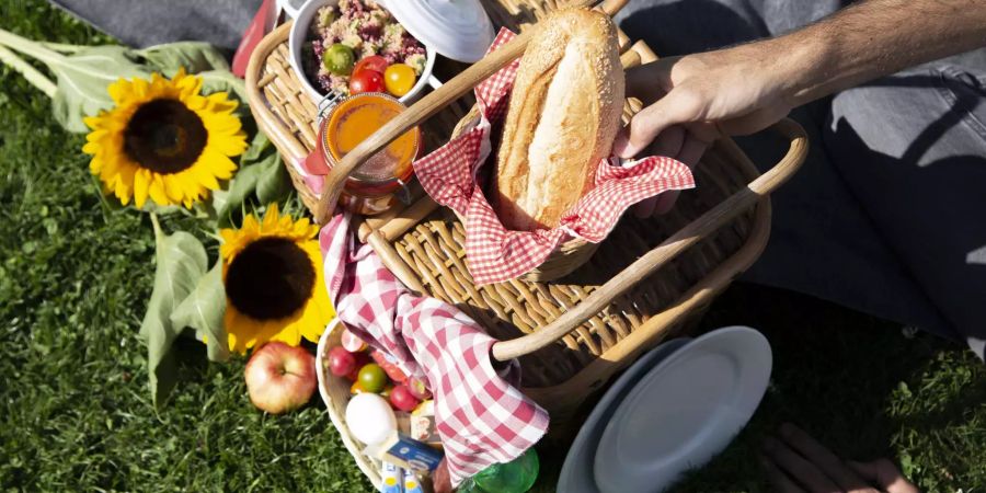 Picknick-Korb der Fondation Beyeler, 2019; Foto: Patricia Grabowicz