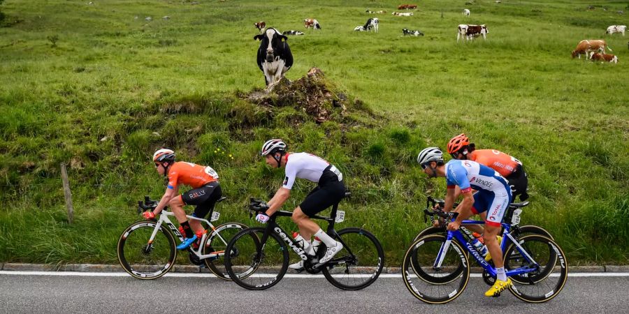 Tour de Suisse Küng