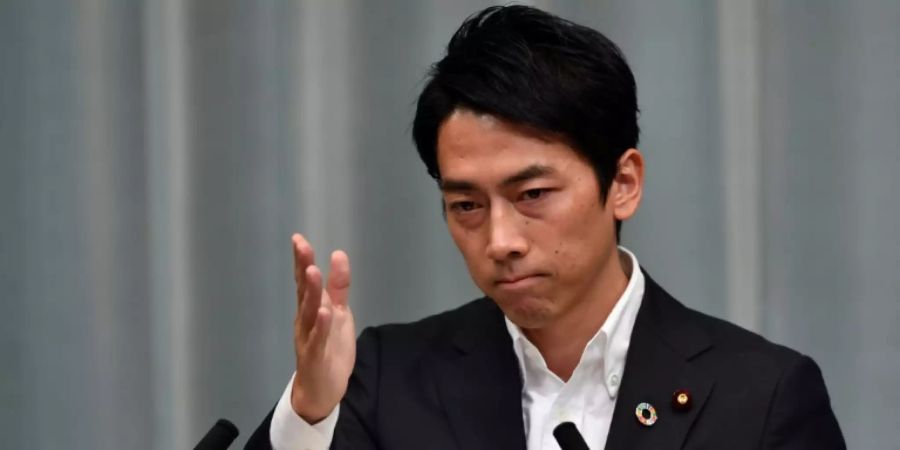 Japans neuer Umweltminister Koizumi