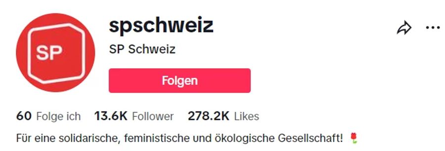 An zweiter Stelle folgt die SP mit rund 13'600 Followern – danach herrscht gähnende Leere.