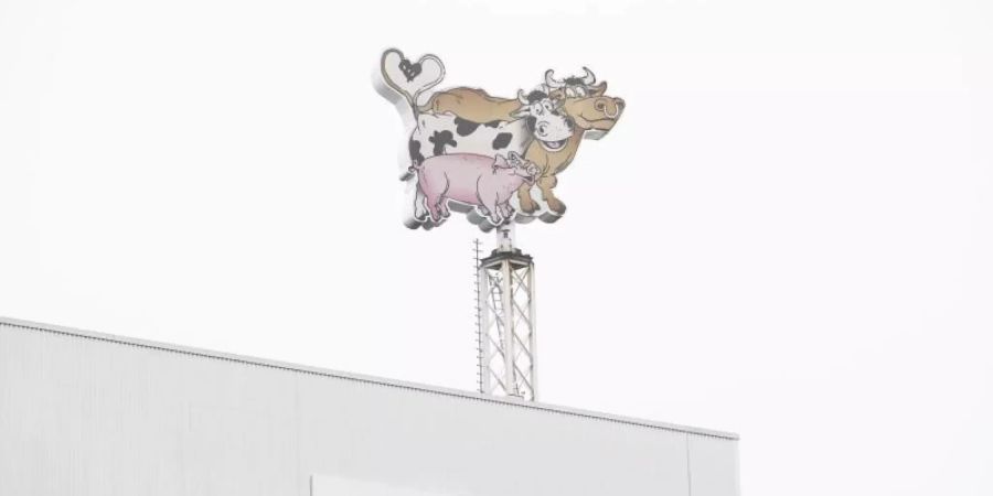 Insgesamt verarbeitete Tönnies an seinen deutschen Standorten 16,3 Millionen Schweine, zwei Prozent weniger als im Vorjahr. Foto: Friso Gentsch/dpa