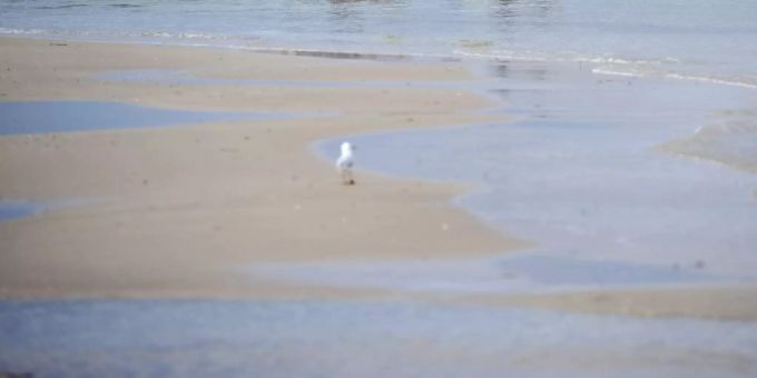 Ein Strand in Australien. (Symbolbild) Australien Strand