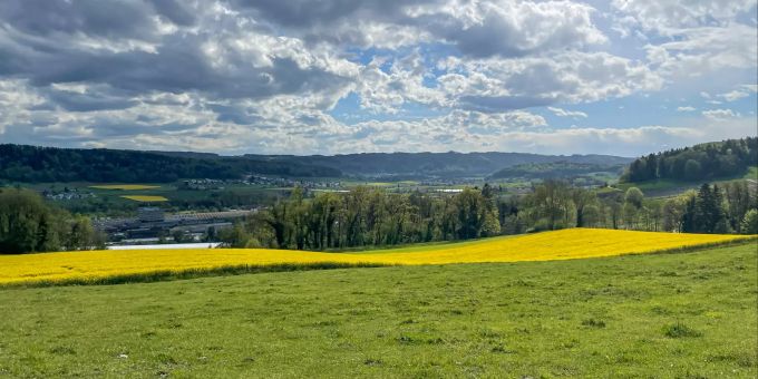 Landschaftsfoto Buchs - Buchs Landschaftsfoto Buchs - Buchs