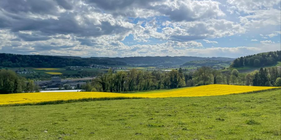 Landschaftsbild in Buchs (ZH) bei Regensdorf.