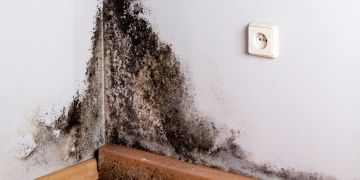 schimmel in wandecke, weisse wand, steckdose