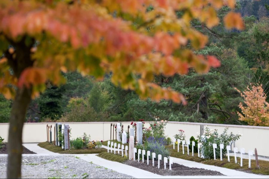 Im Jahr 2004 sind auf dem Friedhof Witikon die ersten muslimischen Grabfelder im Kanton Zürich entstanden. (Archivbild)